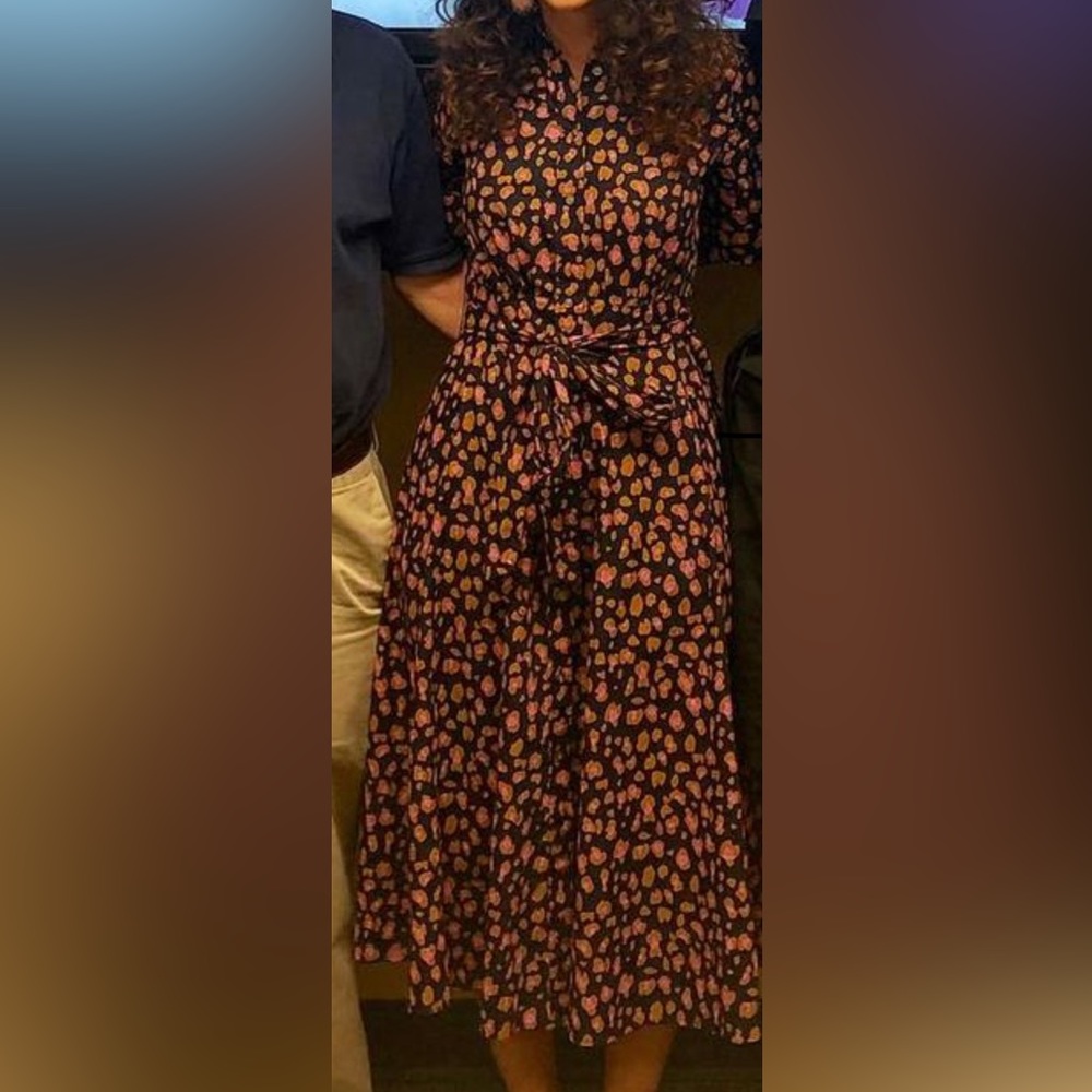 Jcrew leopard dress